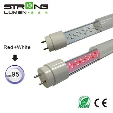 LED Meat Counter Tube , LED Pink Tube For Supermarket Fresh Foods Disp