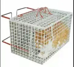 Wholesale Pet Shop China Manufacturer: Small Cat Injection Cage & Crush Cage