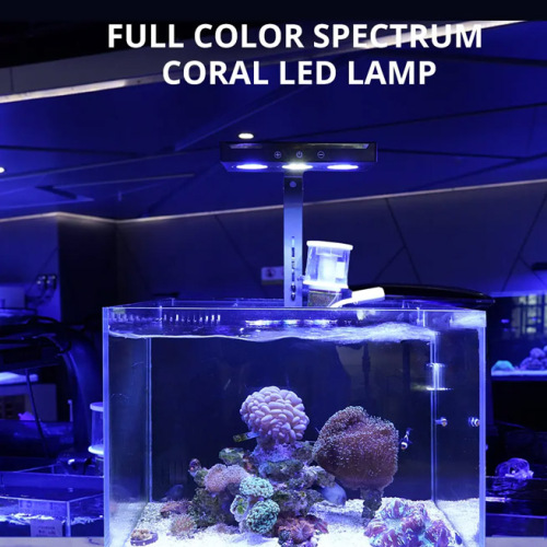 aquarium licht fonteinpomp voor vissentank