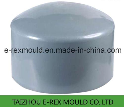 Plastic PP End Cap Fitting Mold/Tooling/Injection Mould