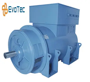 6300V Medium Voltage Generator Catalog