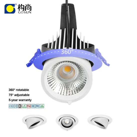 Five-Year Warranty 15W Rotatable Ceiling LED Gimbal Downlight for Shops