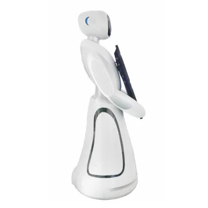 Smart Autonomous Charging Dock for Mujer Elite Computer Robot