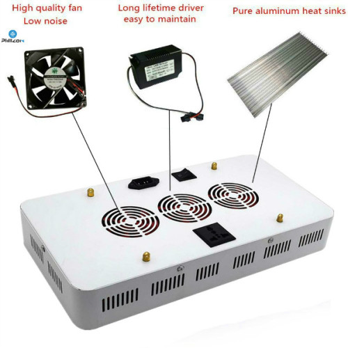 Full Spectrum LED Cob Chip Crece la luz