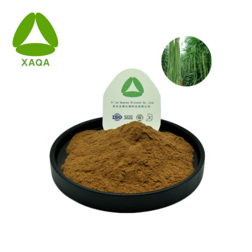 Carob Fruit Extract Pulver 10: 1 natürliche Pflanze