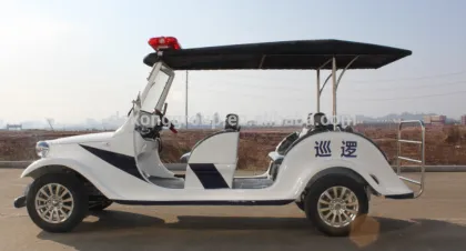 6 person patrol electric car vehicle for police