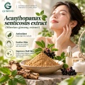Extracto de Acanthopanax senticosus con eleuterósido E y polisacáridos