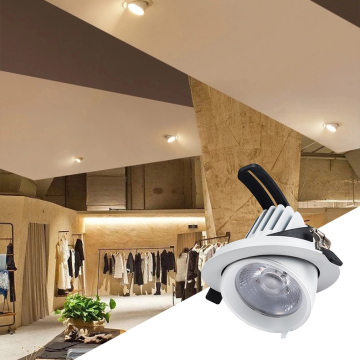 DALI Compatible 30W Recessed Downlight with Gimbal Ring and Color Temperature Control