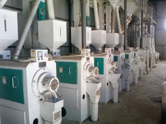 horizontal rice whitening machine