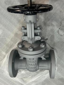 1.6220 low temperature Gate Valve