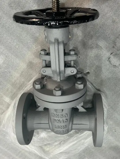 1.6220 Gate Valve