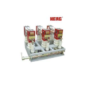 ZN28(A)-12 Indoor Vacuum Circuit Breaker