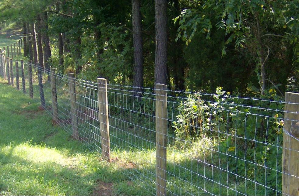 Factory Galvanized Farm Fence 4 Foot Deer Fence
