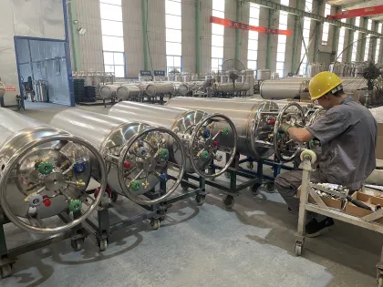 Factory Price Stainless Steel Liquid Nitrogen Tank Gas Cylinder