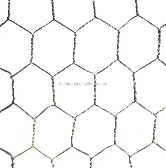 Galvanized Chicken Wire Mesh for Plaster - Strong and Durable