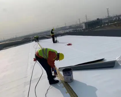 CFS Building Material TPO Waterproofing Membrane