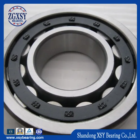 China Bearing Supplier Rolling Bearing Cylindrical Roller Bearing