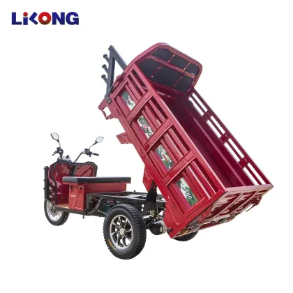 Zero Emission Electric Trike for Senior Citizens