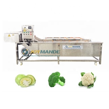 High Quality Industrial Automatic Flower Roots Washing Machine