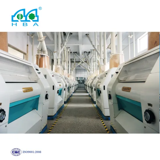 Made in China Pneumatic Wheat Flour Mill Machinery