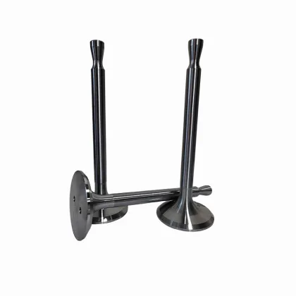 Russia Designed 6ch21/21 Diesel Engine Parts Valve INT EXH Valve