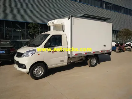 3m Foton Refrigerator Small Van Trucks