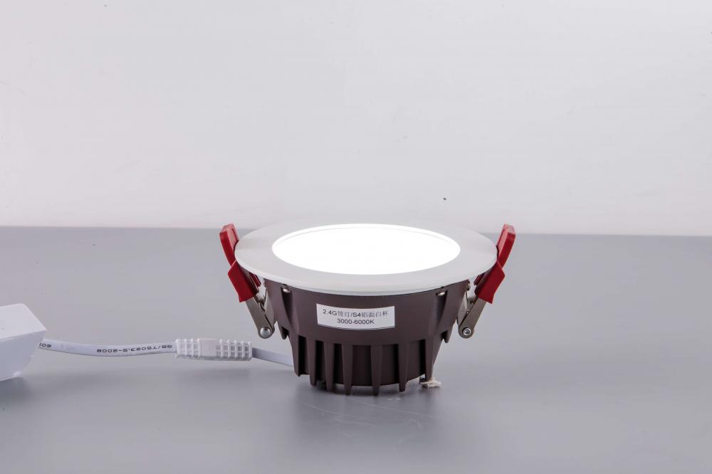 aluminum color led down light