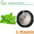 Natural L-theanin Green tea extract l theanine powder