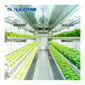 Leafy Vegetables Container Plant Factory Smart farm shipping container plant greenhouse Manufactory