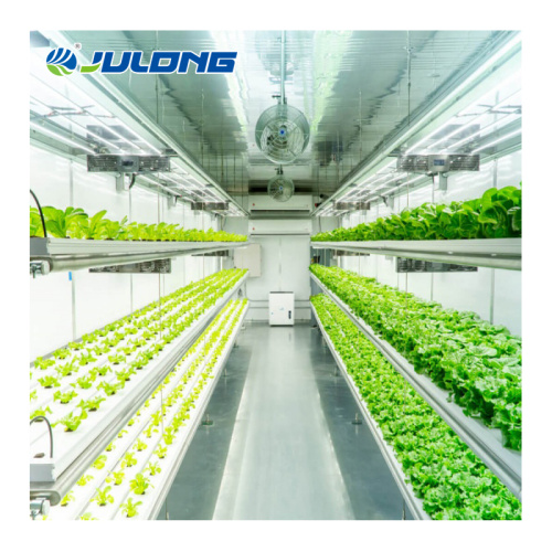 Vertical Farming Growing Container Greenhouse Smart farm shipping container plant greenhouse Supplier