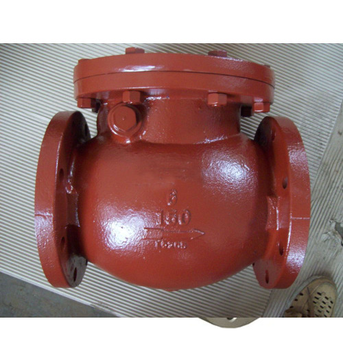 Gang ANSI Check Valve