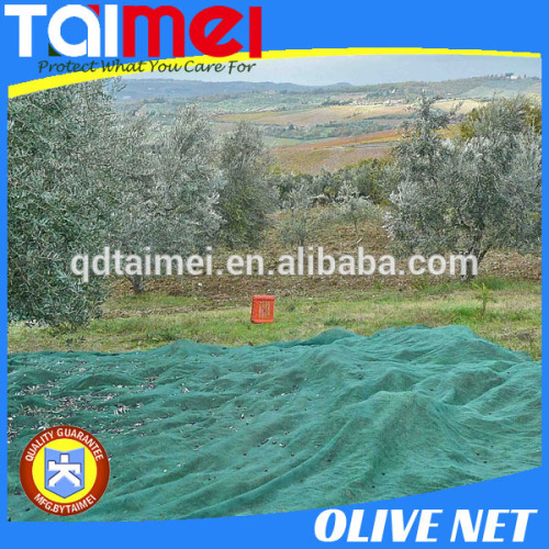 HDPE Olive Collection Net