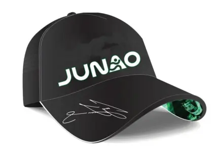 Alpine Cap 3D embroidery logo adjustable cap custom pattern for baseball cap