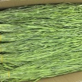 180g torbalanmış kurutulmuş gongcai