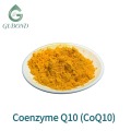 Coenzima Q10 (ubiquinona) en polvo 98%