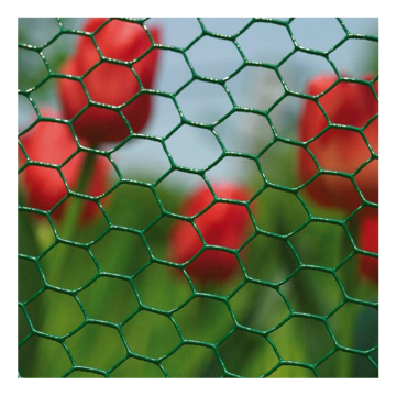 Netting kawat heksagonal galvanis - ukuran mesh kawat ayam 25mm