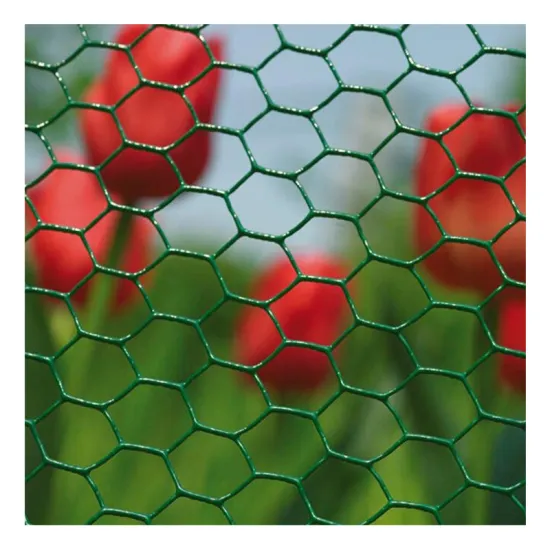 Galvanized Hexagonal Wire Netting - Chicken Wire Mesh 25mm Mesh Size