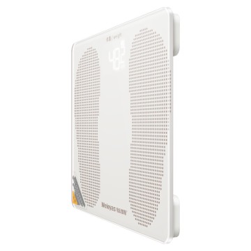 B101 Colorful Health Scale With Footprint Guide