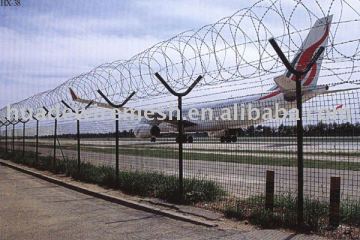 Razor barbed wire fence/concertina razor barbed wire/razor barbed wire mesh