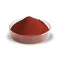 Estratto di mirtillo rosso Proantocianidine in polvere di frutta di mirtillo rosso