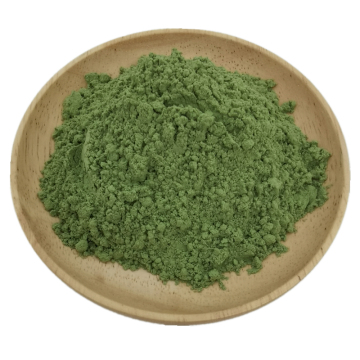 Top grade organic wheatgrass juice powder wheatgrass powder