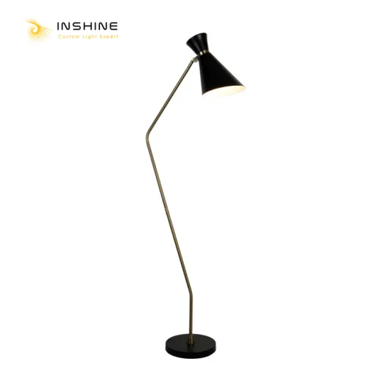 INSHINE Black Standard Floor Lamp