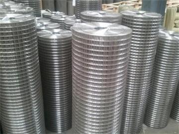Hot Selling Welded Wire Mesh
