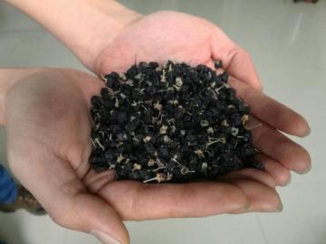 Black Wolfberry Medium Grains
