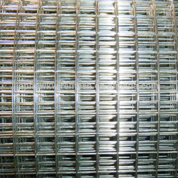 galvanized 5x5 welded wire mesh best quality