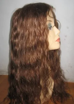Wave Curly Hair Lace Wig