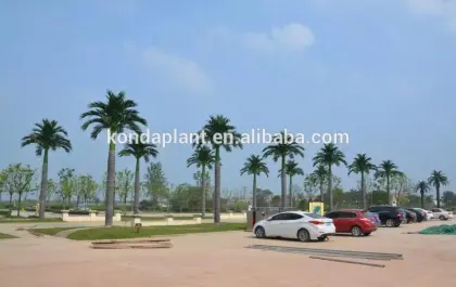 New design indoor and outdoor decoration Artificial coconut tree/fake coco tree/high imitation coco tree in Guangzhou