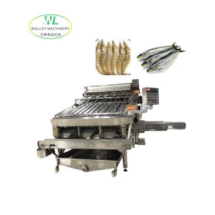 China Anchovy Grading and Sorting Equipment