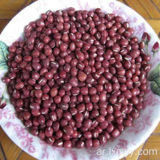 adzuki beans شريحة الشاي