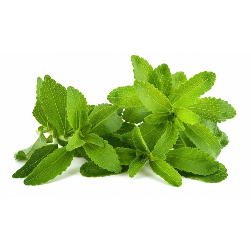 Extracto de hoja de stevia en polvo esteviósido